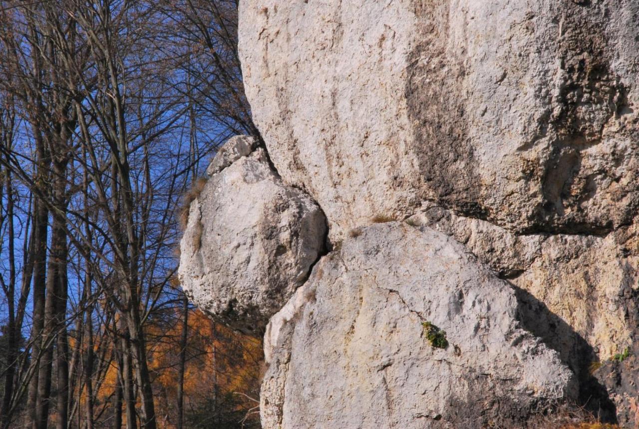 Pokoje Goscinne U Grazyny Ojcow Extérieur photo