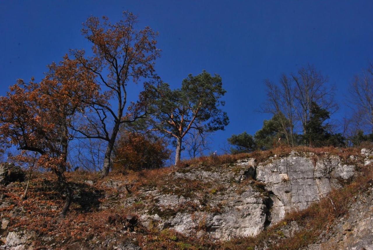 Pokoje Goscinne U Grazyny Ojcow Extérieur photo